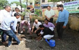 कलेक्टर श्री बाथम ने वृक्षारोपण किया